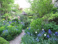 6BC Botanical Community Garden spring